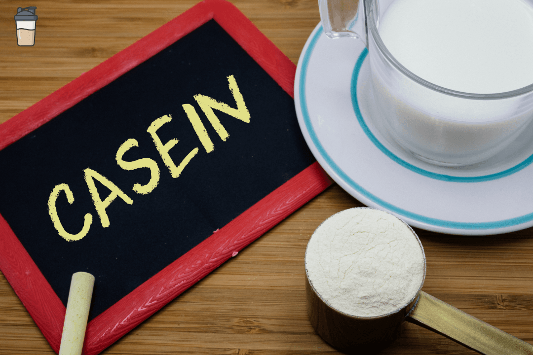 Casein Protein Ranking